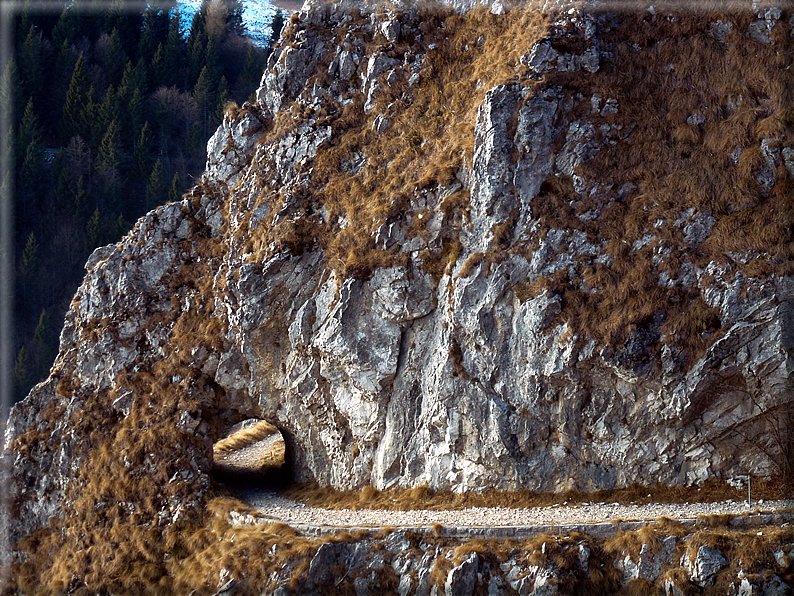 foto Salita dal Monte Tomba a Cima Grappa